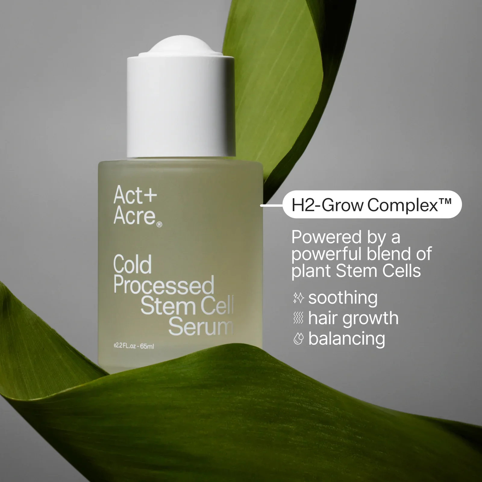 Stem Cell Scalp Serum for Thicker, Fuller Looking Hair - Image 7
