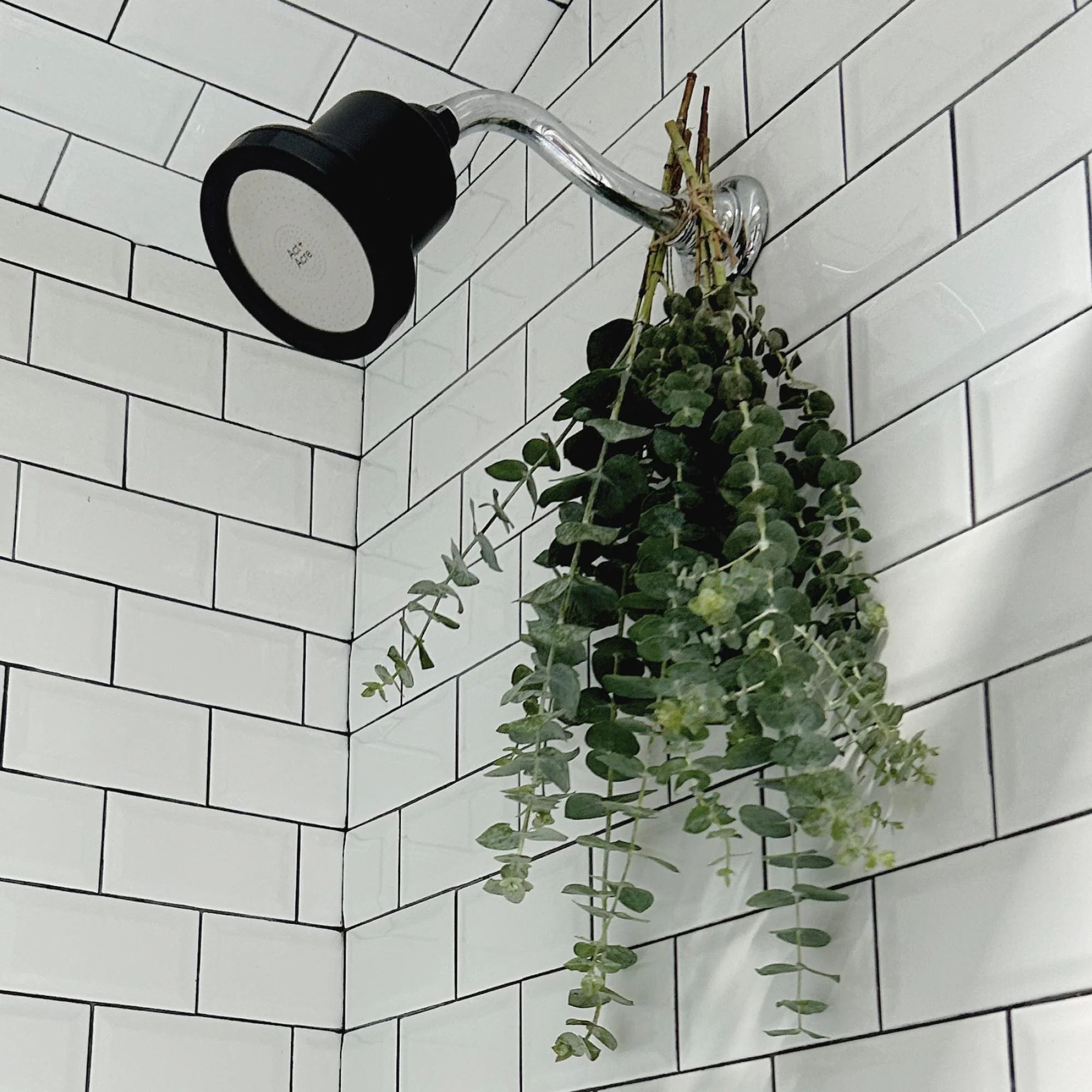 Showerhead Filter - Image 4