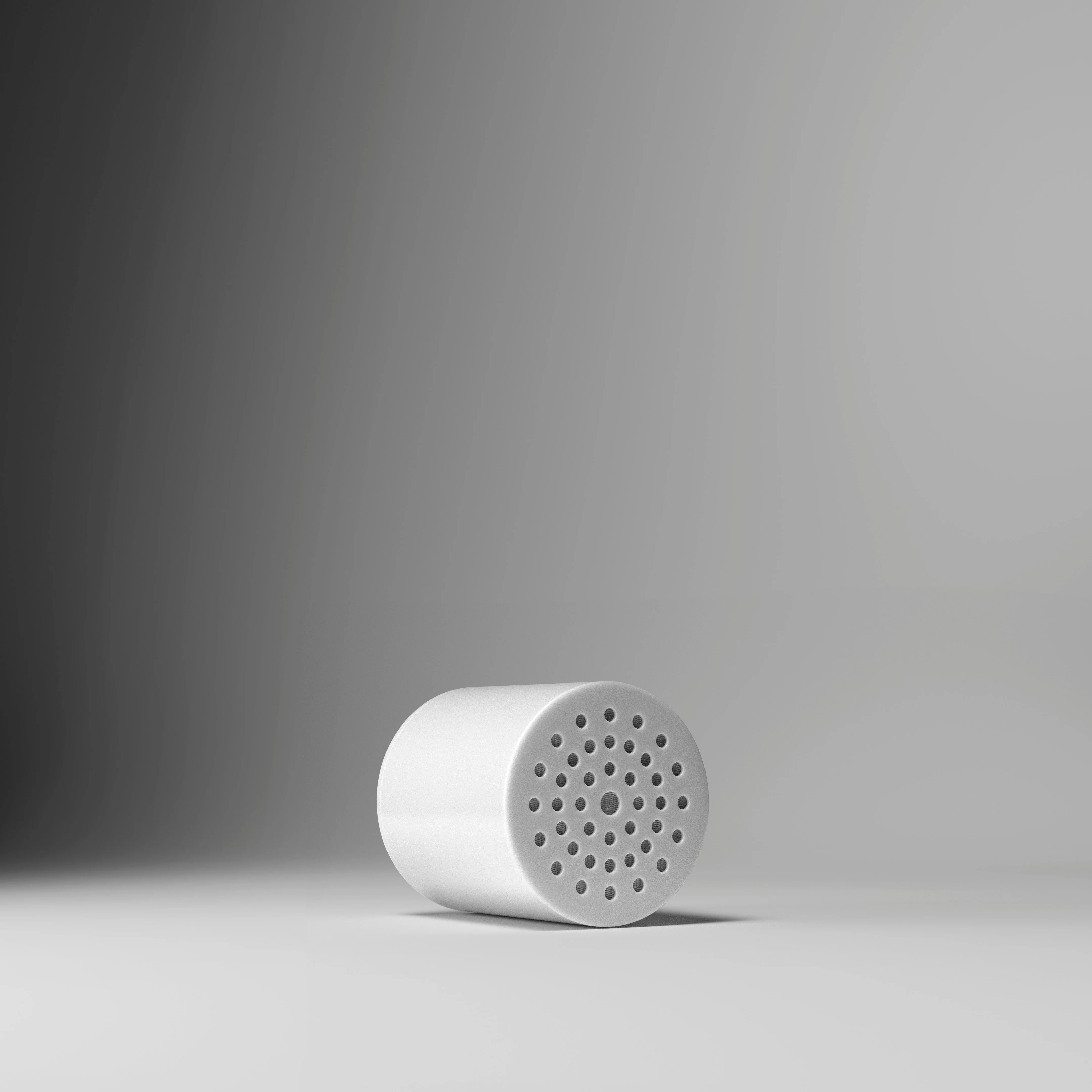 Showerhead Replacement Filter
