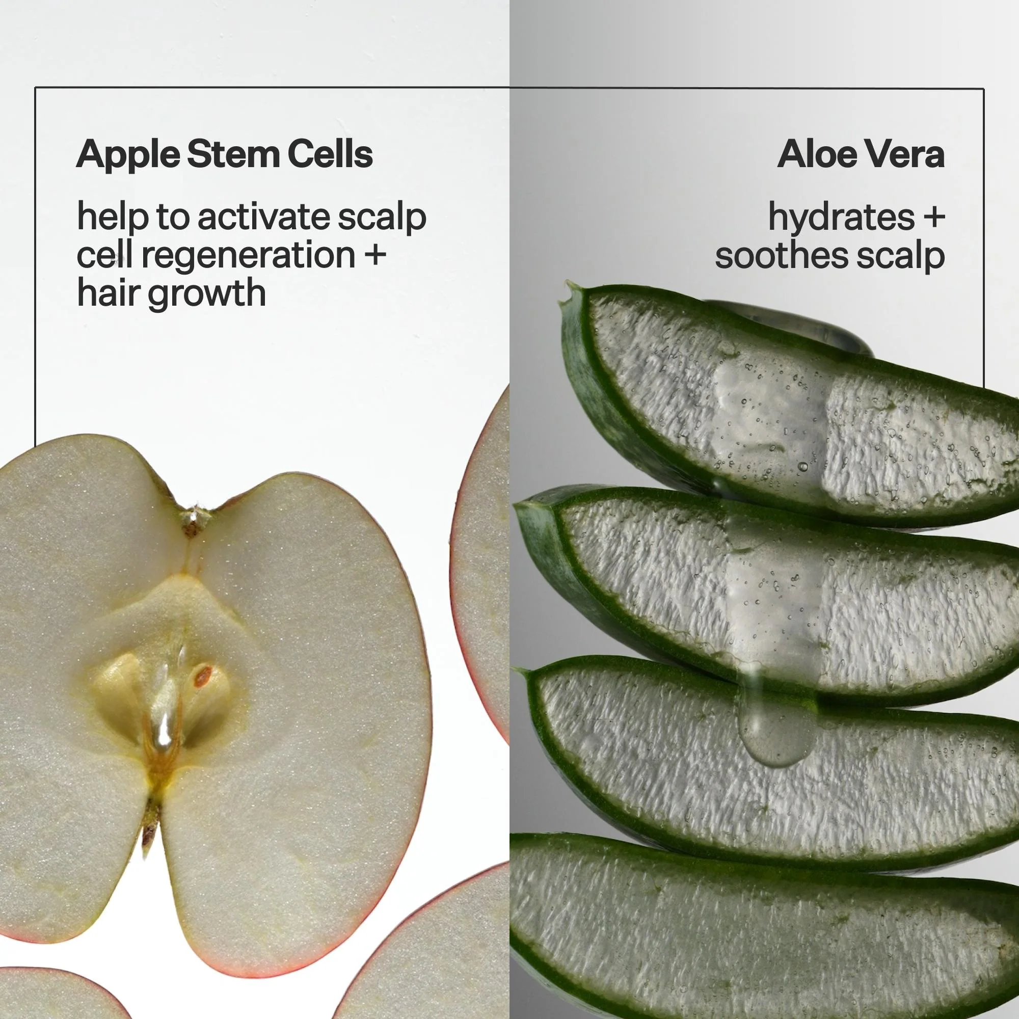 Stem Cell Scalp Serum™ - Image 12